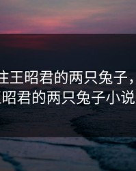 一把抓住王昭君的两只兔子，一把抓住王昭君的两只兔子小说全文