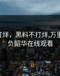 黑料不打烊，黑料不打烊,万里长征,不负韶华在线观看