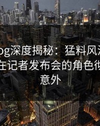 糖心vlog深度揭秘：猛料风波背后，神秘人在记者发布会的角色彻底令人意外