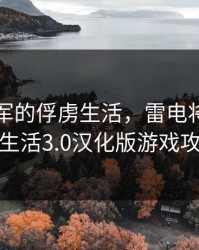 雷电将军的俘虏生活，雷电将军的俘虏生活3.0汉化版游戏攻略