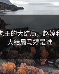 赵婷和老王的大结局，赵婷和老王的大结局马婷是谁