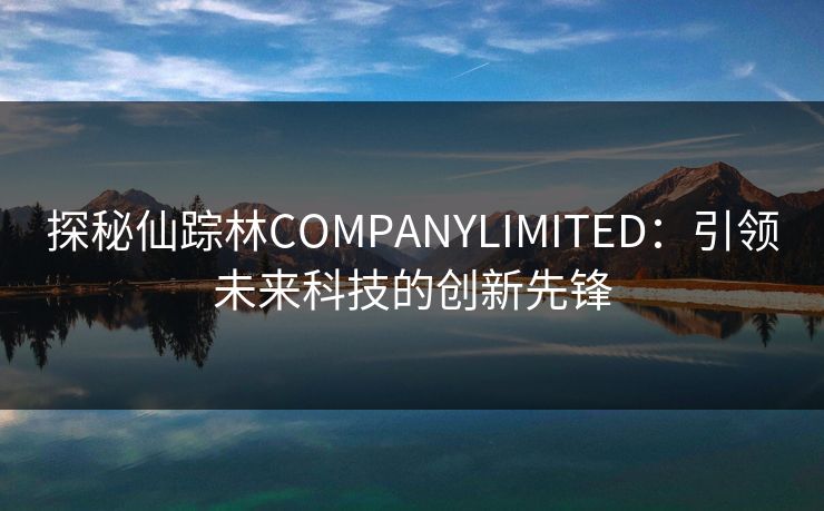 探秘仙踪林COMPANYLIMITED:引领未来科技的创新先锋 探秘仙踪林COMPANYLIMITED:引领未来科技的创新先锋